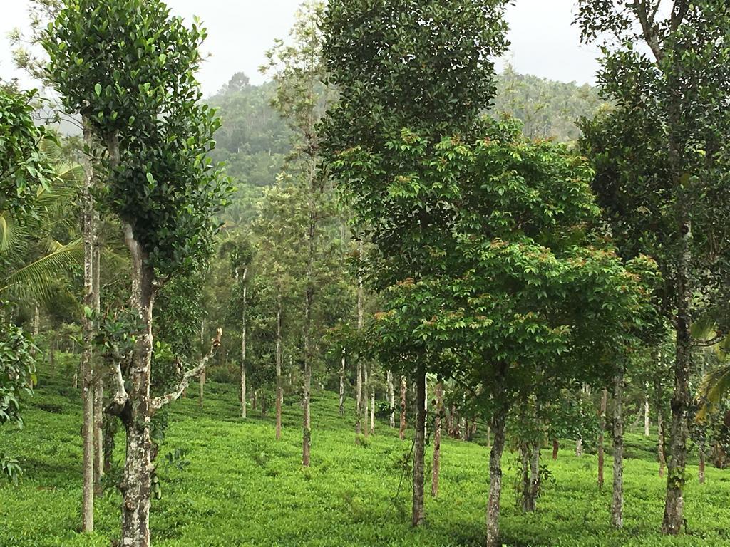 Harmony Farm Wayanad Vila Sultan Bathery Exterior foto