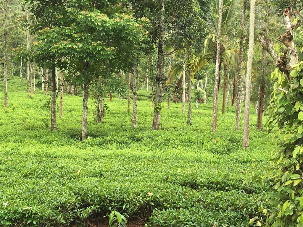 Harmony Farm Wayanad Vila Sultan Bathery Exterior foto
