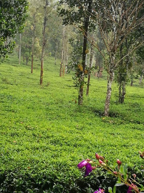 Harmony Farm Wayanad Vila Sultan Bathery Exterior foto