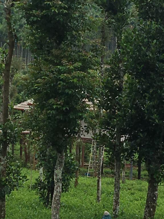 Harmony Farm Wayanad Vila Sultan Bathery Exterior foto